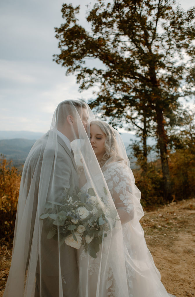 Bride and groom romantic veil shot at elopement location, Foothills Parkway in East Tennessee.