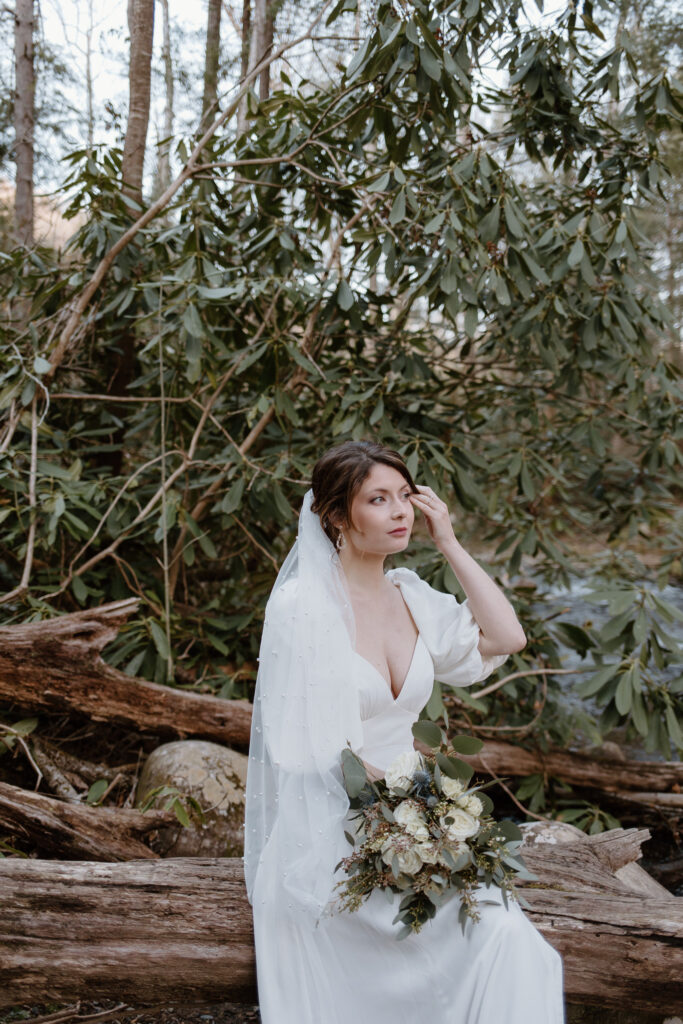 Bridal portraits 